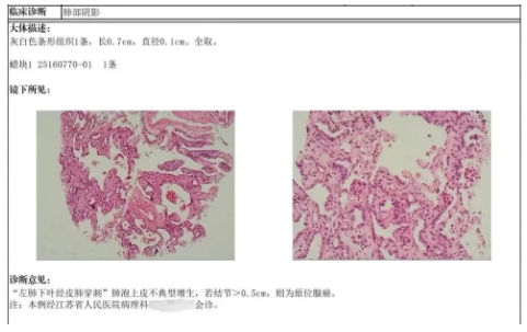 5b40dffa-8d40-4b26-9867-e8ff59d04645