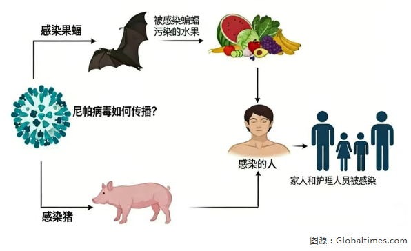 14aa95fc-e071-44cd-8873-8e165879049d