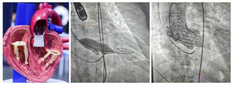 72dc3abd-b562-4f73-bcb9-53e5a421ac56